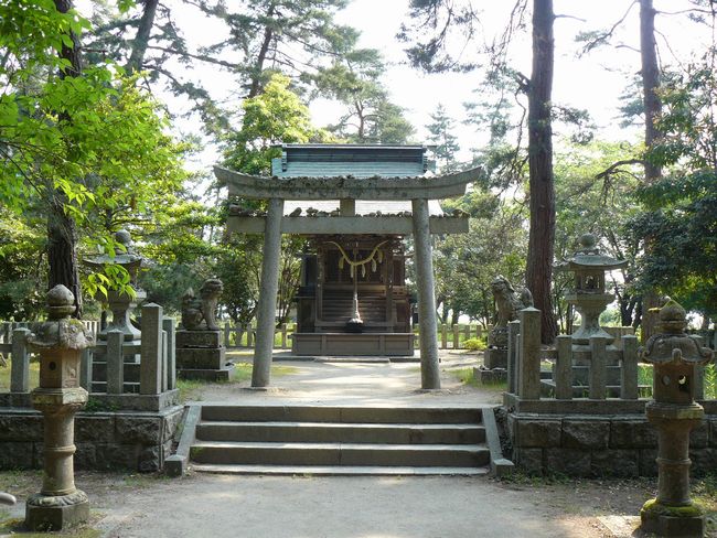 �V�����_��