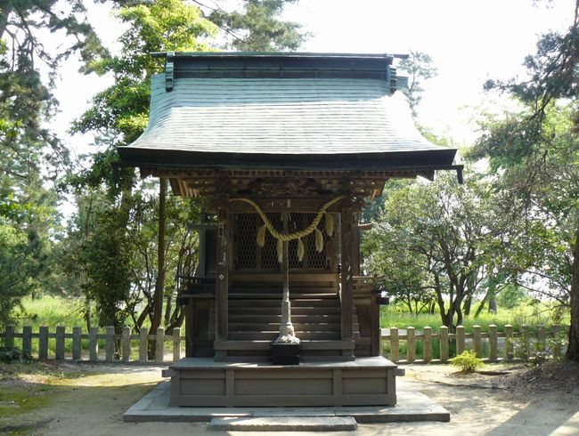 �V�����_��