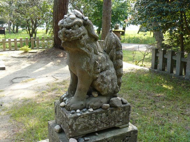 �V�����_��