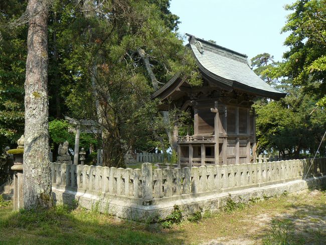 �V�����_��