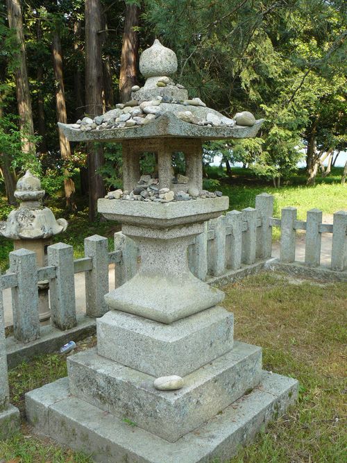 �V�����_��