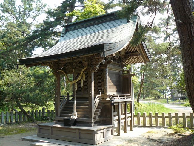 �V�����_��