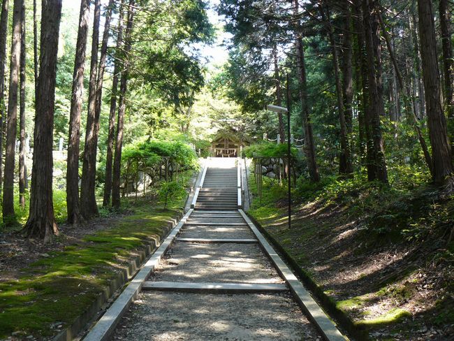 �^����_��