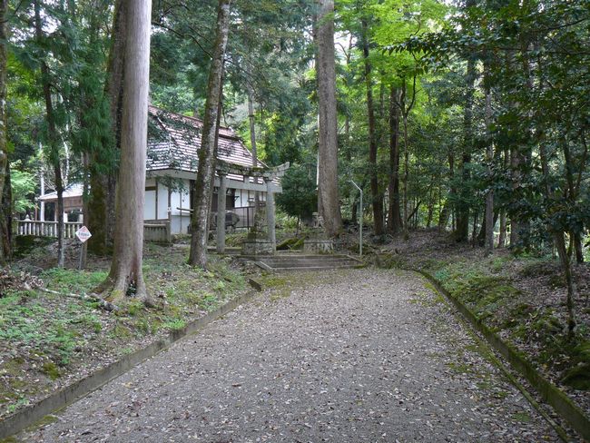 ���{�X��_��