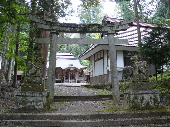 ���{�X��_��