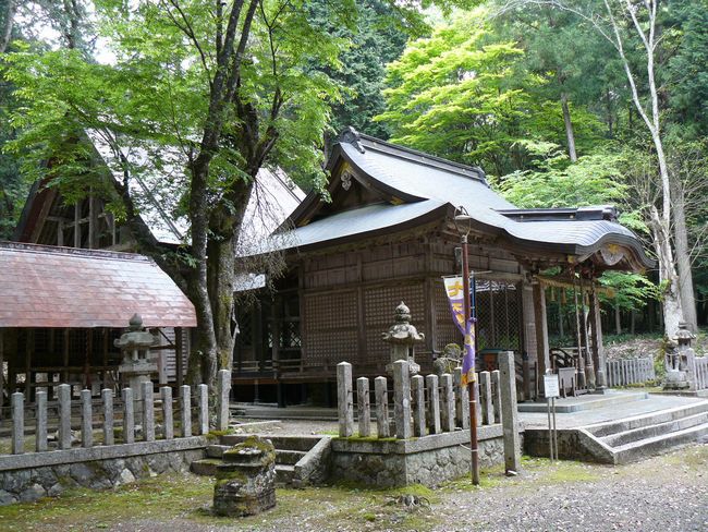 ���{�X��_��