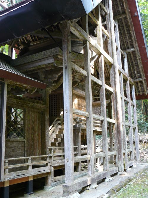 ���{�X��_��