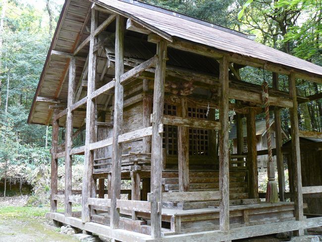 ���{�X��_��