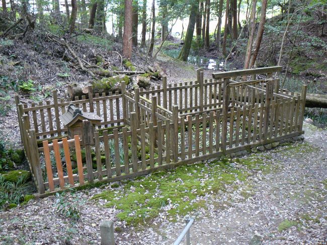 ���{�X��_��