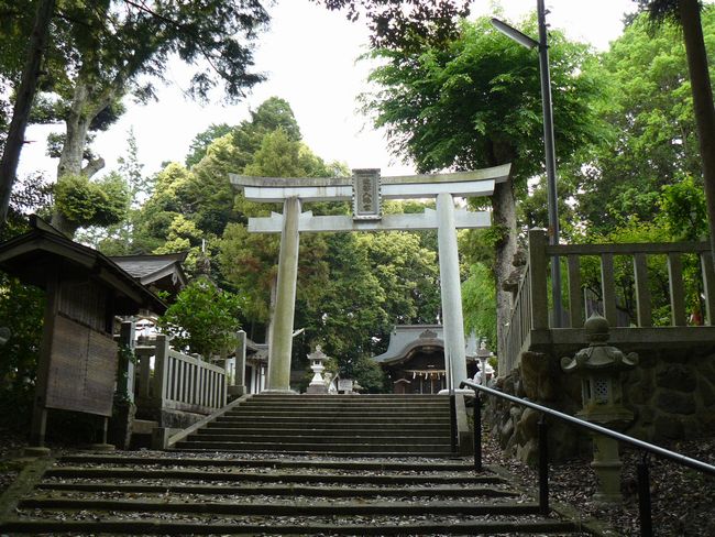 ���������{