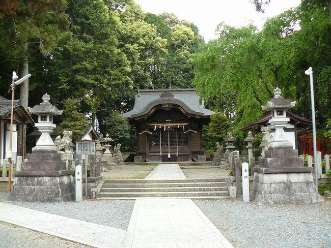 ���������{