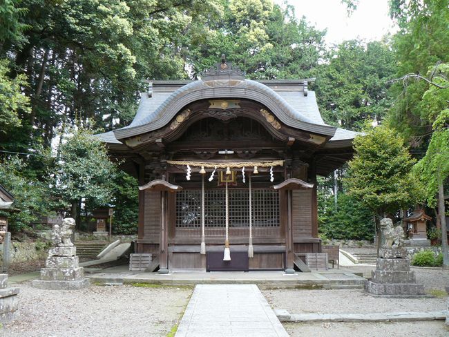 ���������{