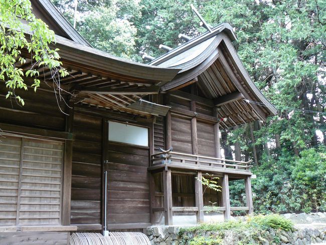 ���������{