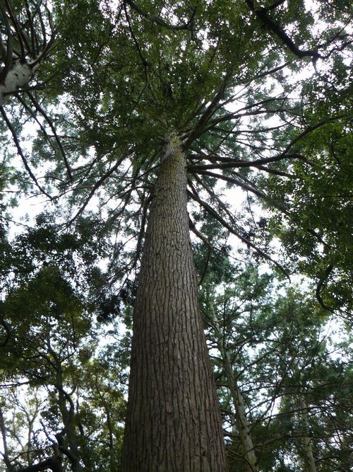 ���������{