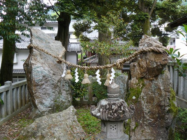 ���������{