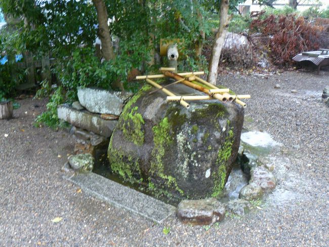 �F��V�{�_��