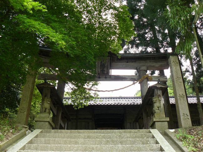 ���^�򔪔��{