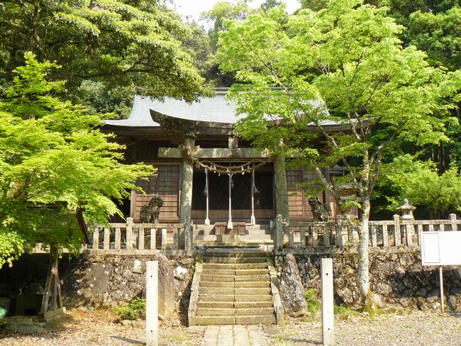 ���^�򔪔��{