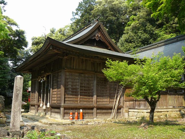 ���^�򔪔��{