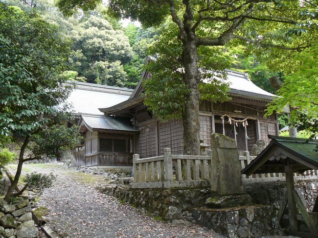 ���^�򔪔��{