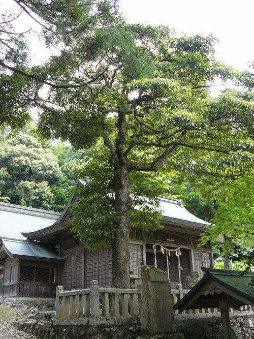 ���^�򔪔��{