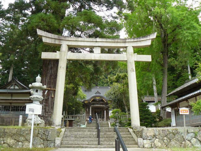 ���q�_��