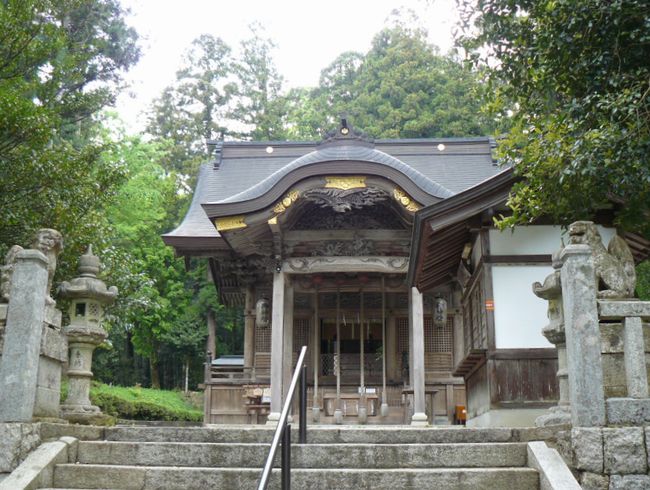 ���q�_��