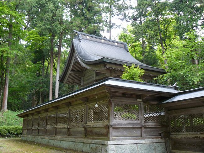 ���q�_��