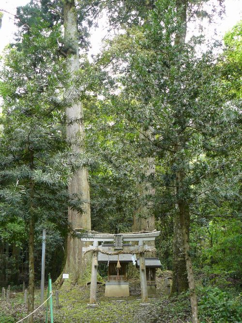 ���q�_��