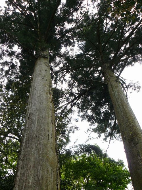 ���q�_��