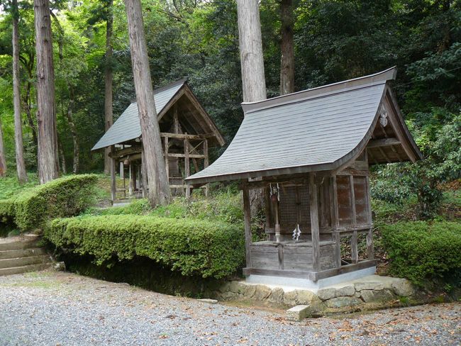 ���q�_��