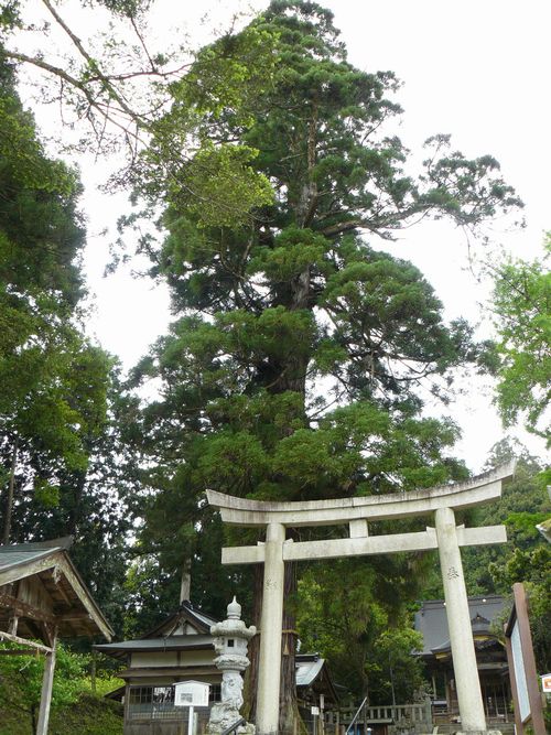 ���q�_��