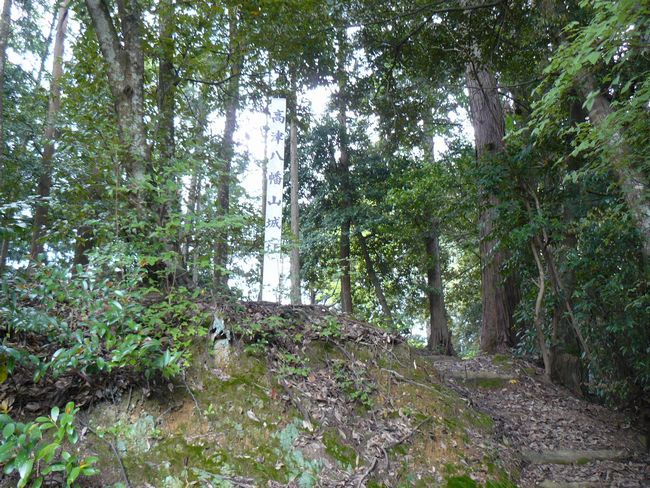 ���Ô����R��