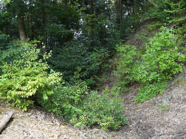 ���Ô����R��