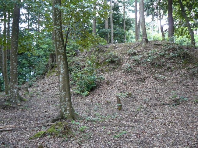 ���Ô����R��