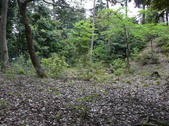 ���Ô����R��