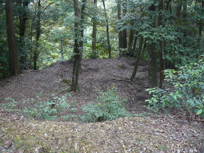 ���Ô����R��