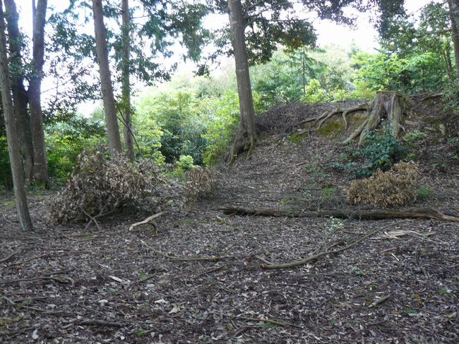 ���Ô����R��