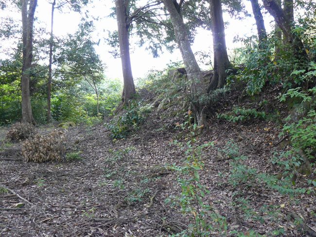 ���Ô����R��