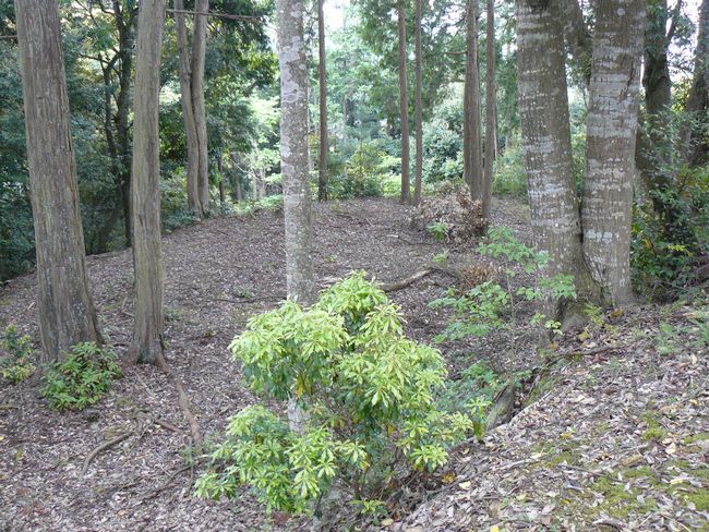 ���Ô����R��