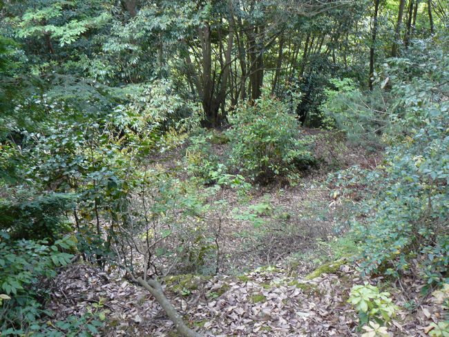 ���Ô����R��