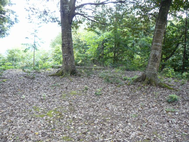 ���Ô����R��