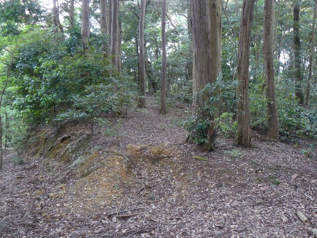 ���Ô����R��