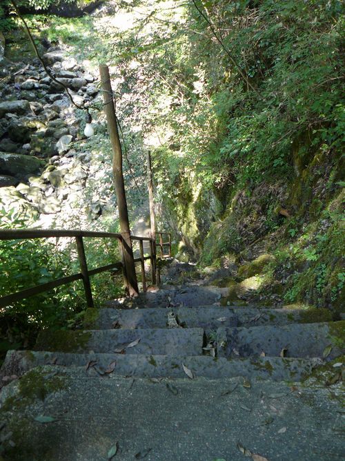 �V�̊�ː_��