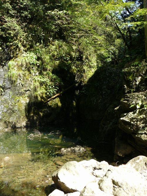 �V�̊�ː_��