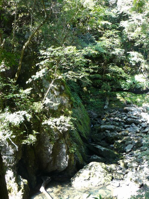 �V�̊�ː_��