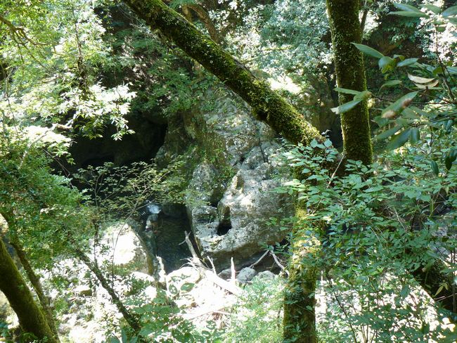 �V�̊�ː_��