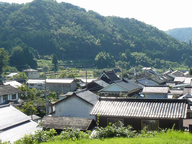 �c��_�Ж�O��