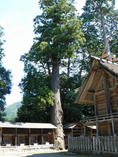 �L���_�Ёi���ɐ��_�{�O�{�j