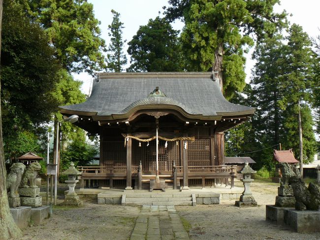 �V�Ƌʖ��_��